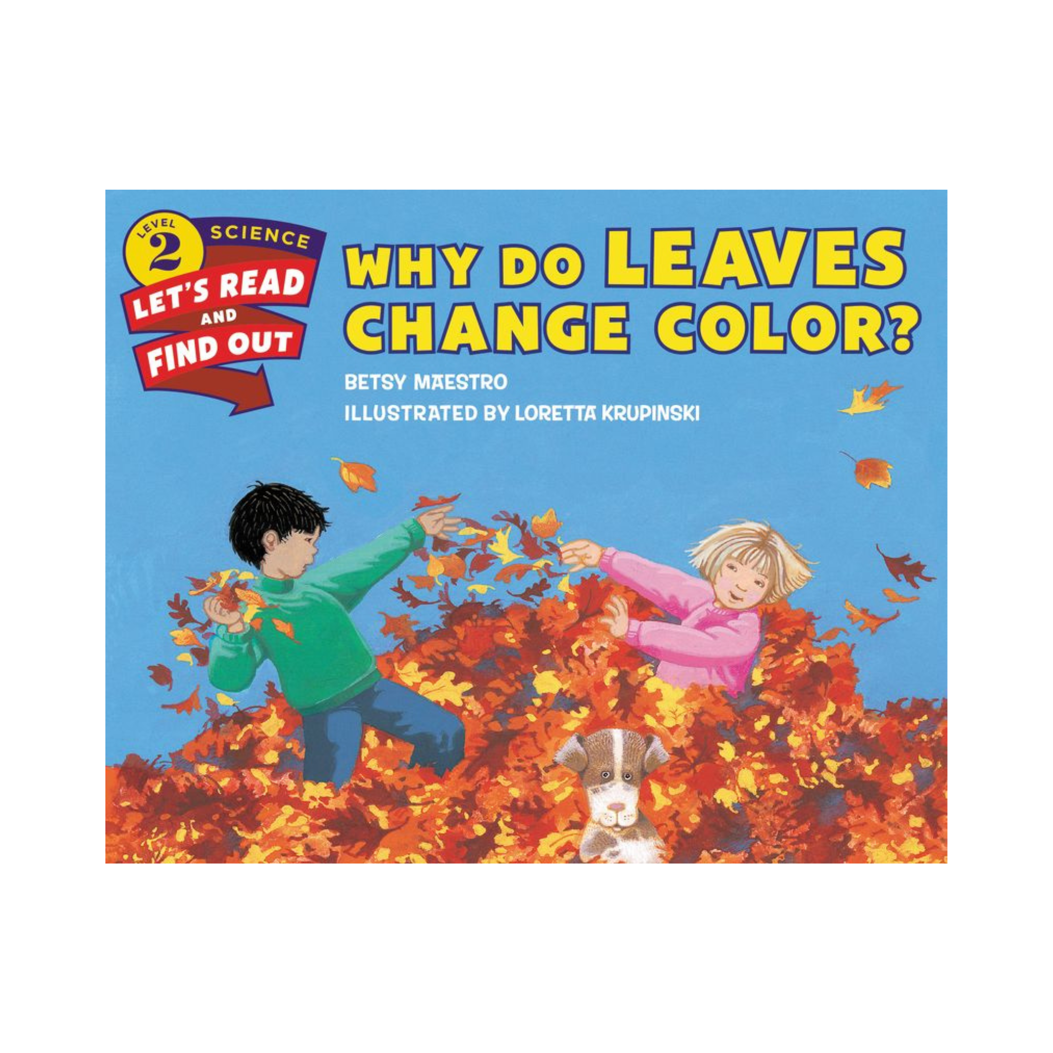 Why Do Leaves Change Color?