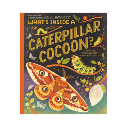 What's Inside a Caterpillar's Cocoon?
