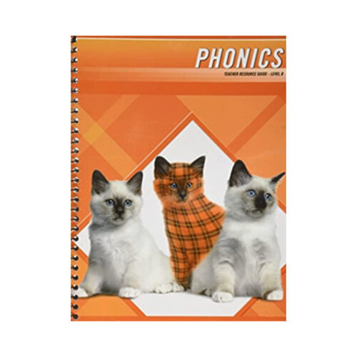 Plaid Phonics: Level D - Teacher Guide