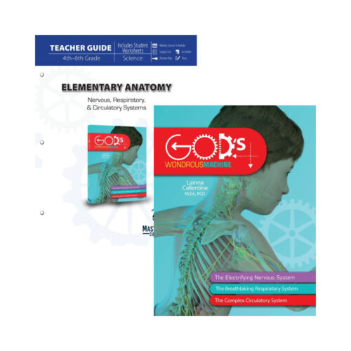 Elementary Anatomy: Nervous, Respiratory, and Circulatory Systems Set