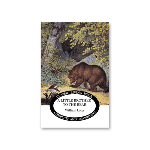 A Little Brother to the Bear