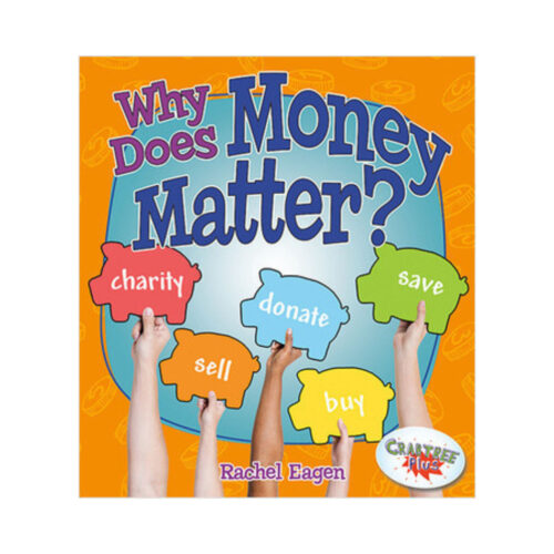 Why Does Money Matter?