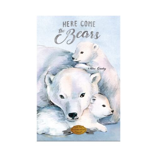 Here Come the Bears (Hardcover)