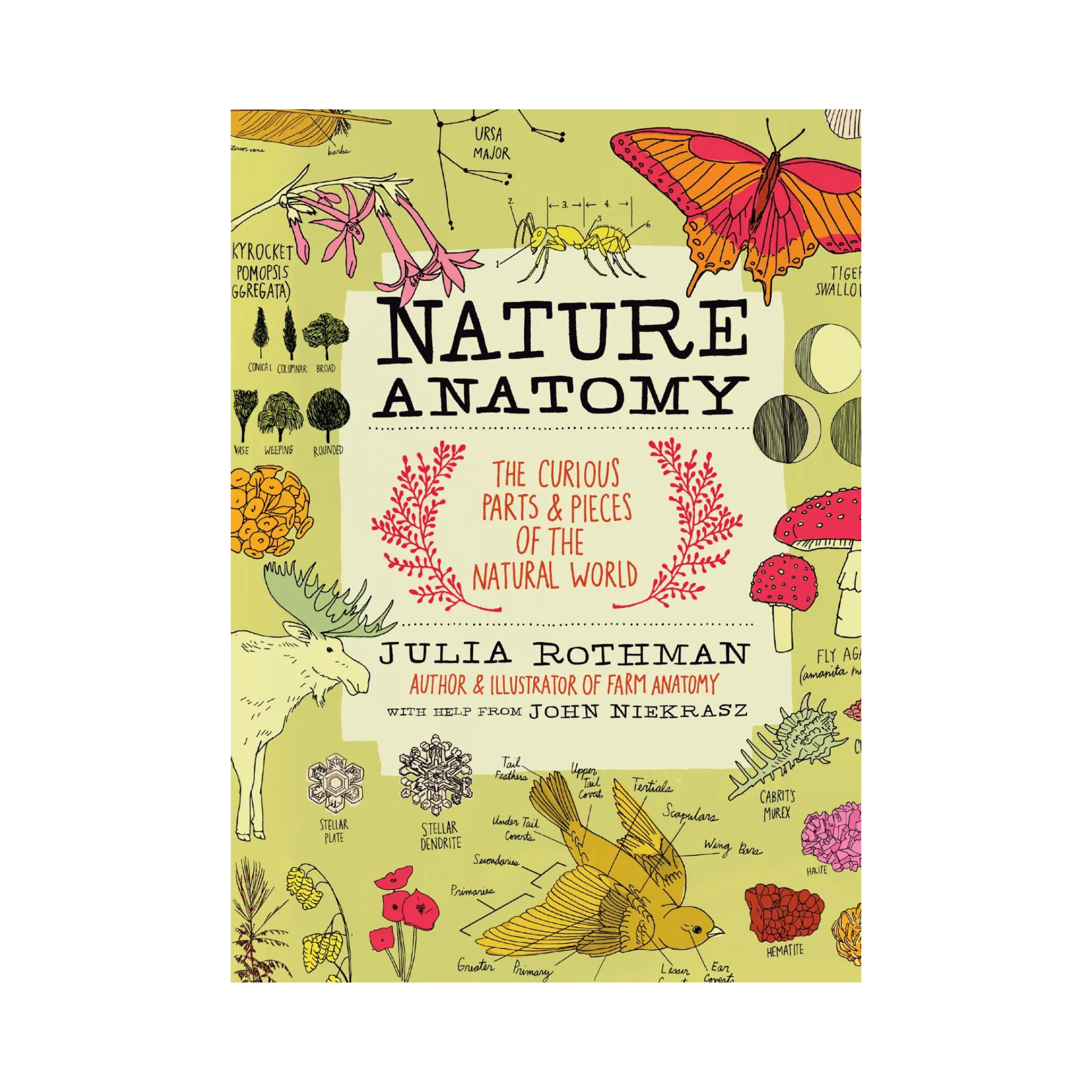 Nature Anatomy: The Curious Parts and Pieces of the Natural World