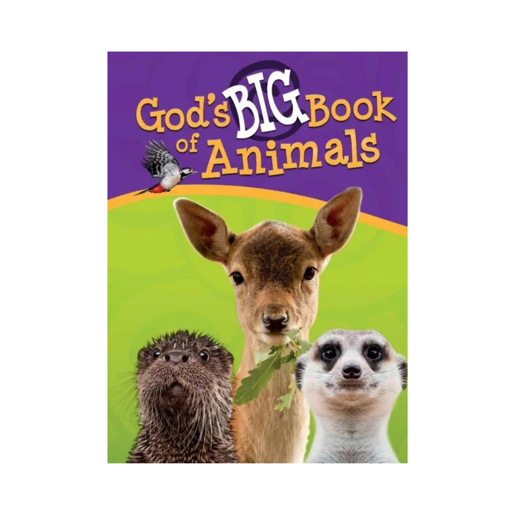 God's Big Book of Animals
