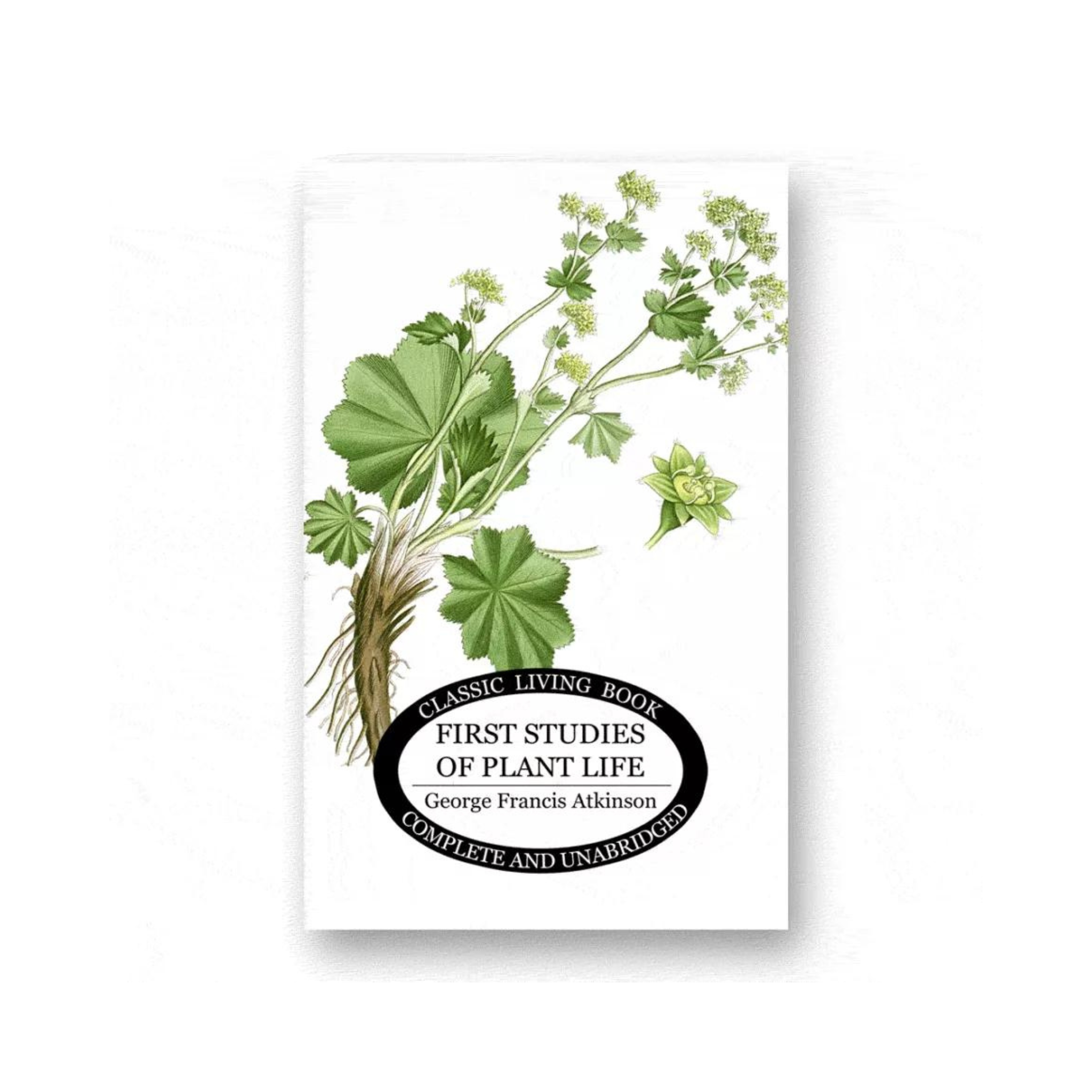 First Studies of Plant Life