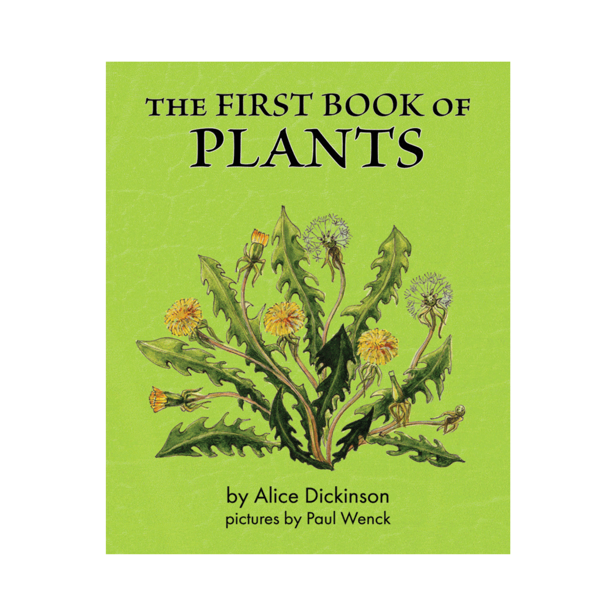 The First Book of Plants