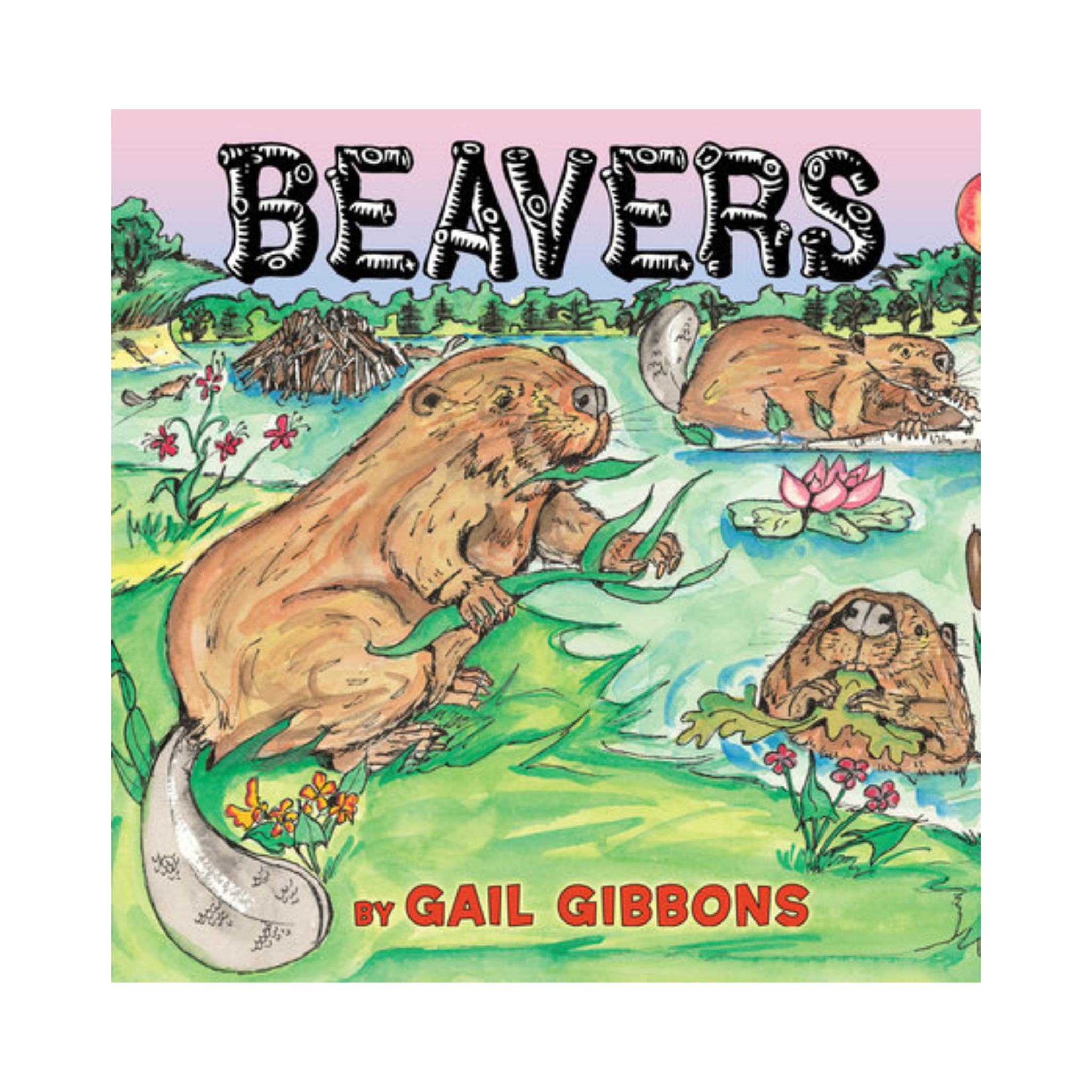 Beavers