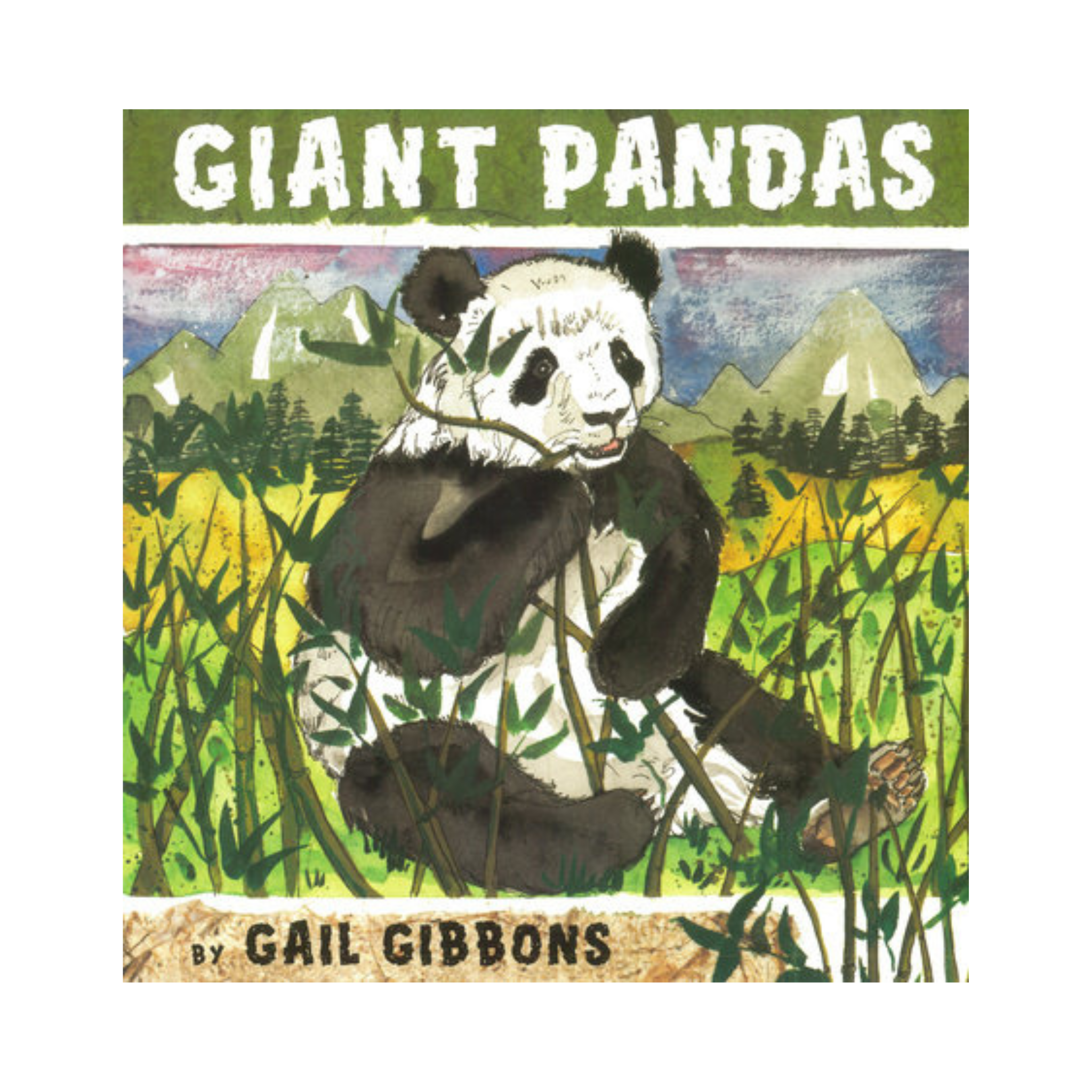 Giant Pandas