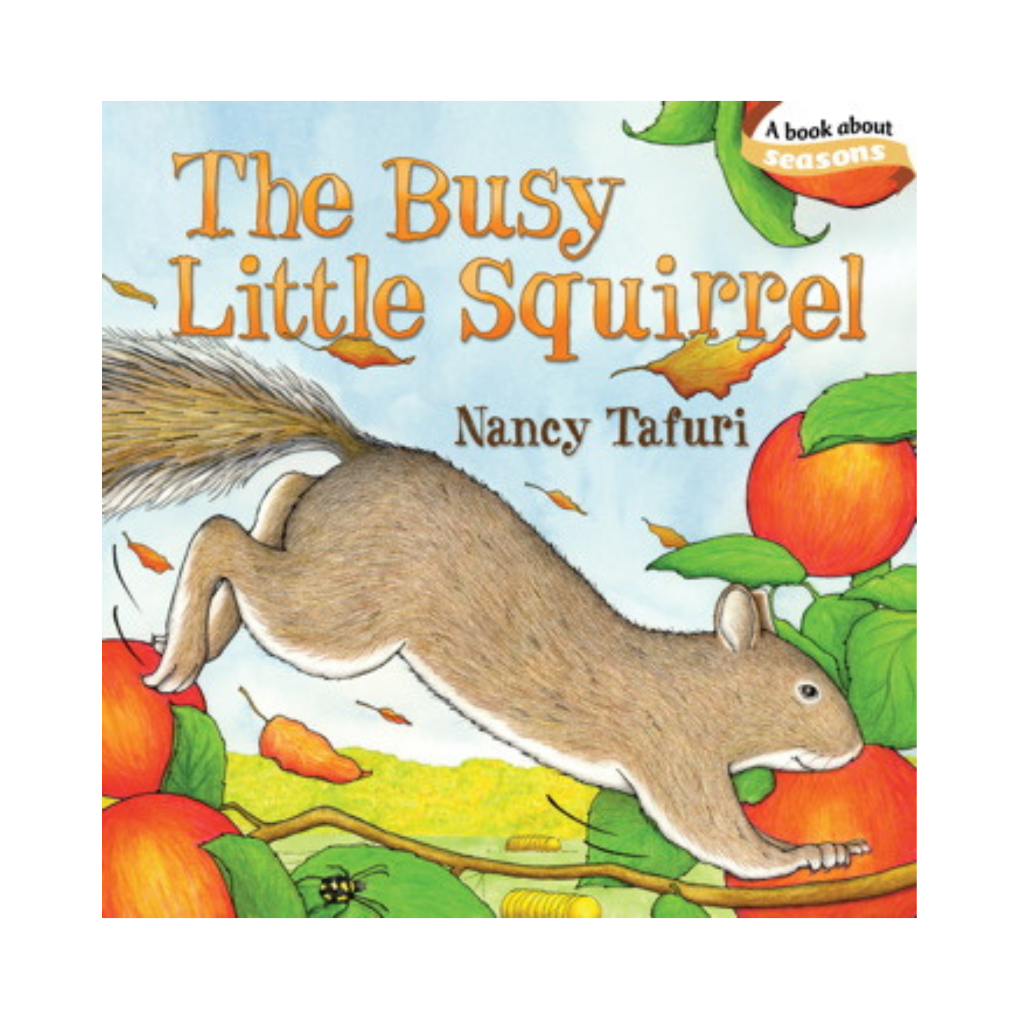 The Busy Little Squirrel