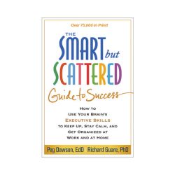 Smart But Scattered Guide to Success