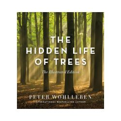 The Hidden Life of Trees (Illustrated Version)